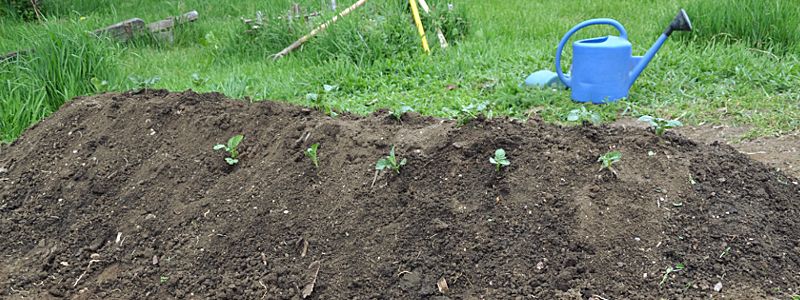 butte-permaculture-aveyron