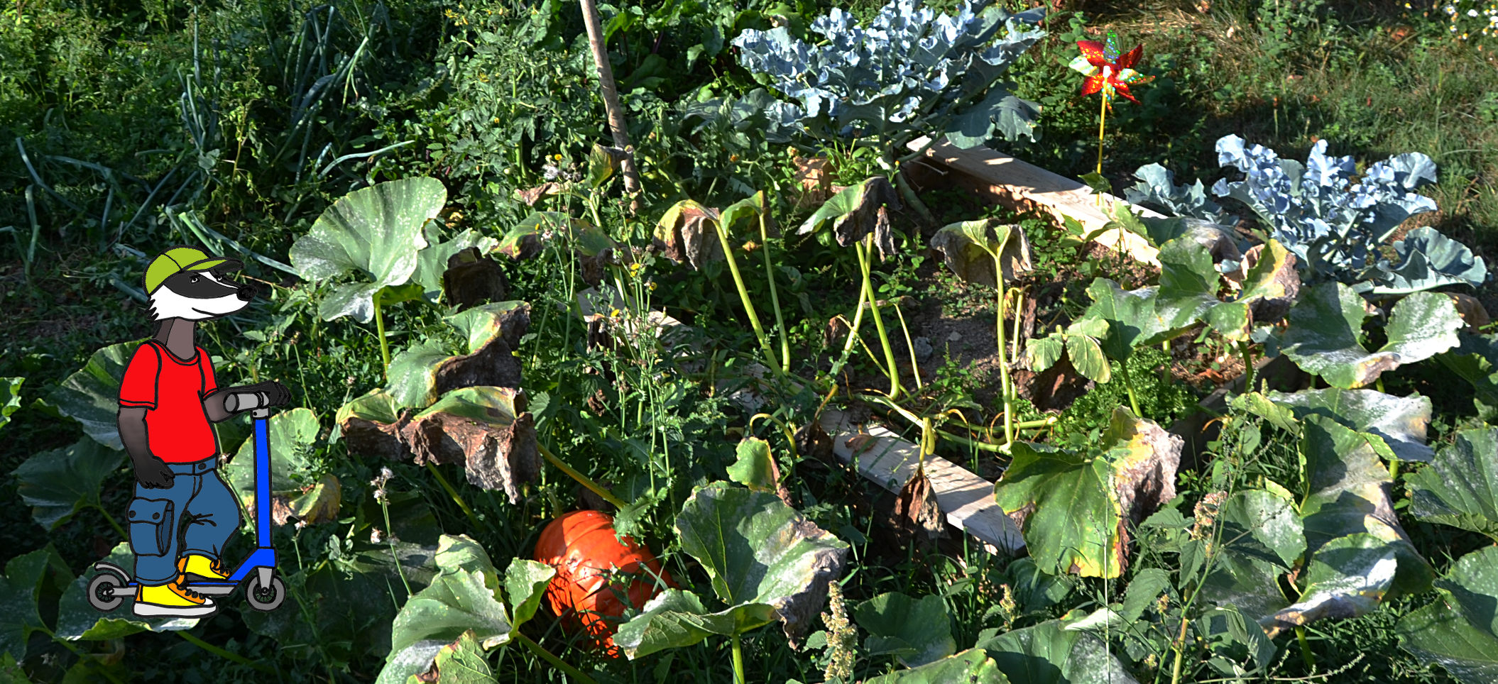 jardin-aveyron-permaculture-transmission.jpg