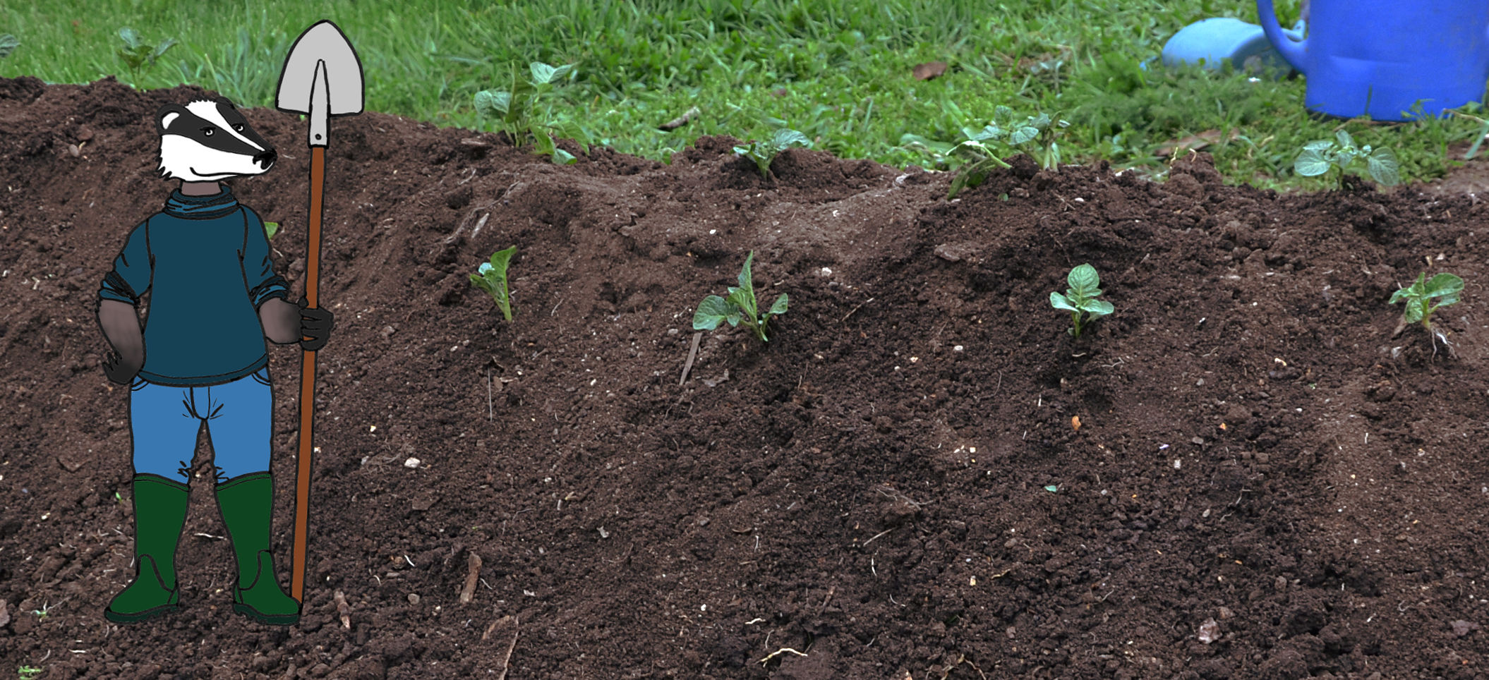 permaculture-butte-aveyron.jpg